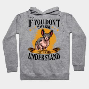 Sphynx Cat Hoodie